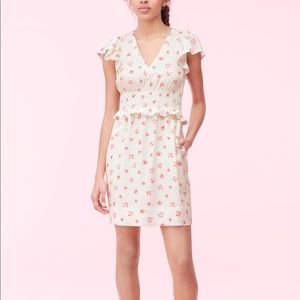 NWT Rebecca taylor Maui fleur dot Hayward dress